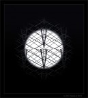 Spot...cuspidale Spot...cuspidale