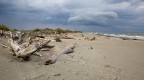 Costituisce lo scanno storico del Delta del Po, il pi orientale e proteso dentro all'Adriatico. Si tratta di una lunga lingua di sabbia dorata, raggiungibile solo via mare, ricca di fascino per il suo paesaggio incontaminato e selvaggio.
Vi si possono ammirare gli ultimi casoni, tipiche costruzioni di canne utilizzate da pescatori e cacciatori, nonch uccelli di tutti i tipi. Il mare  molto bello, azzurro, limpido e con fondali sabbiosi e digradanti.