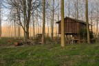 La casa nel bosco 2