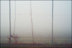 20170218-5332. Galzignano Terme