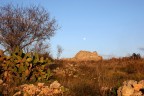 paesaggio salentino