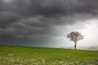 pioggia o sole?