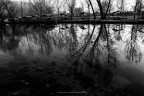 Riflessi di luce