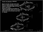 la preghiera del pescatore