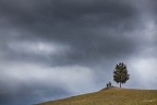 solitario?