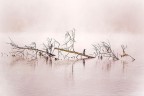 il mio fiume