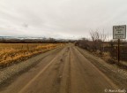 Primitive Road