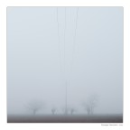 Nebbia elettrica