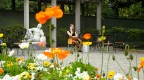 Mentre fotografavo fiori....
