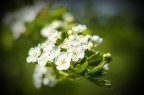 Natura Natura
