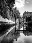 Riflessi