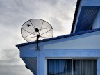 Broadcast bird