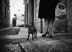 Erwitt style