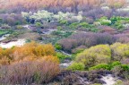 Dune Colorate