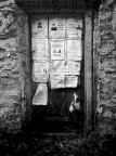 .affissioni.