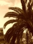 California dream