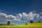 ...amiata lontana..