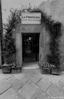 La porticina
