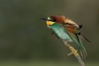 il primo della stagione