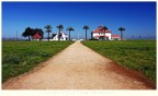 CRISSY FIELD, SAN FRANCISCO