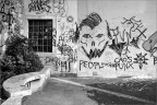 Caos