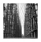 Vegetable Cathedral  Gothic ;/)