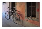 Assenza
