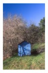 Mar. di Ravenna (inverno 2015/16)