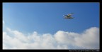 Above the clouds