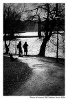Parco d'inverno