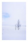 Finlandia, (marzo '17)