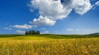 Landscape 1