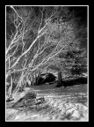 Snowscape