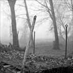 Hasselbladski ! ;/)