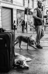 Milano, DSC5379