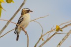 Vecchio scatto fatto in Namibia nel 2013