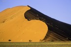 S_desert