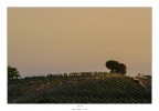 Un semplice buongiorno