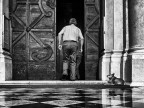Fedeli