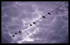 waiting for the rain