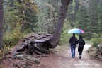 Passeggiata intorno al lago di Misurina