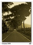 ingresso in toscana