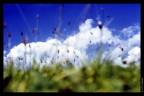neverendig emotion