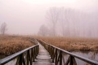 il pontile