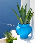 vaso greco
