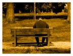 La Solitudine