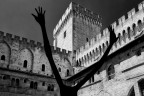 palais des papes