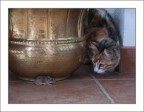 con il cuore in gola...