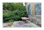 Trieste img.079