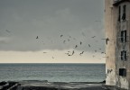 Camogli e i gabbiani Camogli e i gabbiani